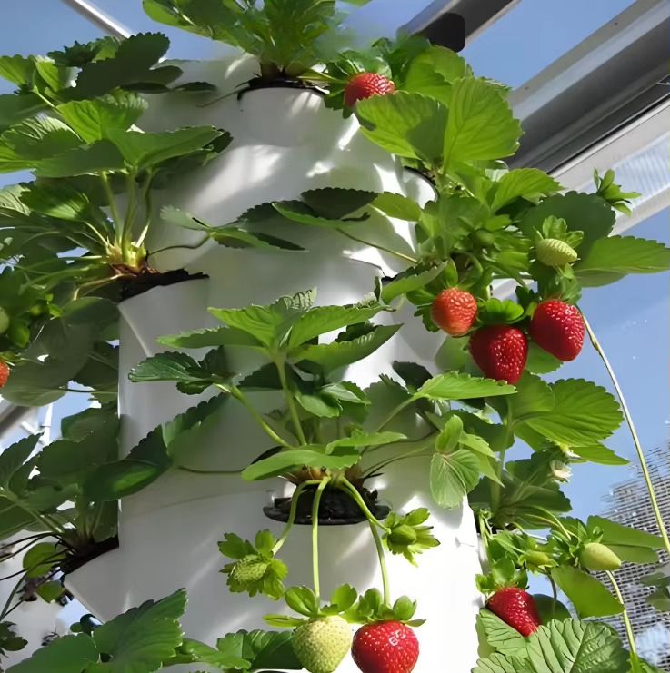 도시 농업용 모듈식 수경 재배 벽면 항공우주 시스템,  - Urban Farming Wall 리뷰 및 가격