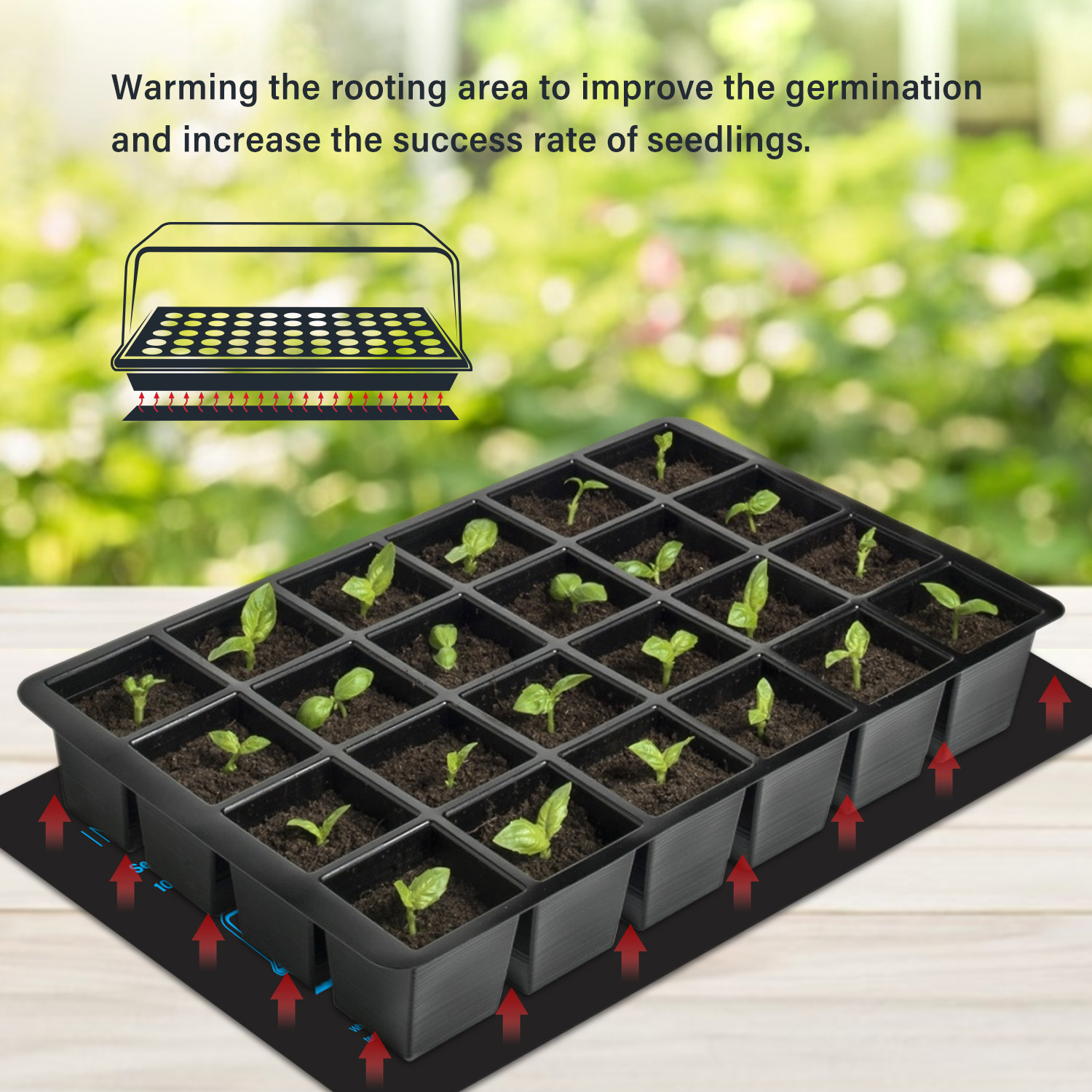 20.75x10CM EU/US/UK/AU 플러그 모종  - Seedling Heat Pad 리뷰 및 가격