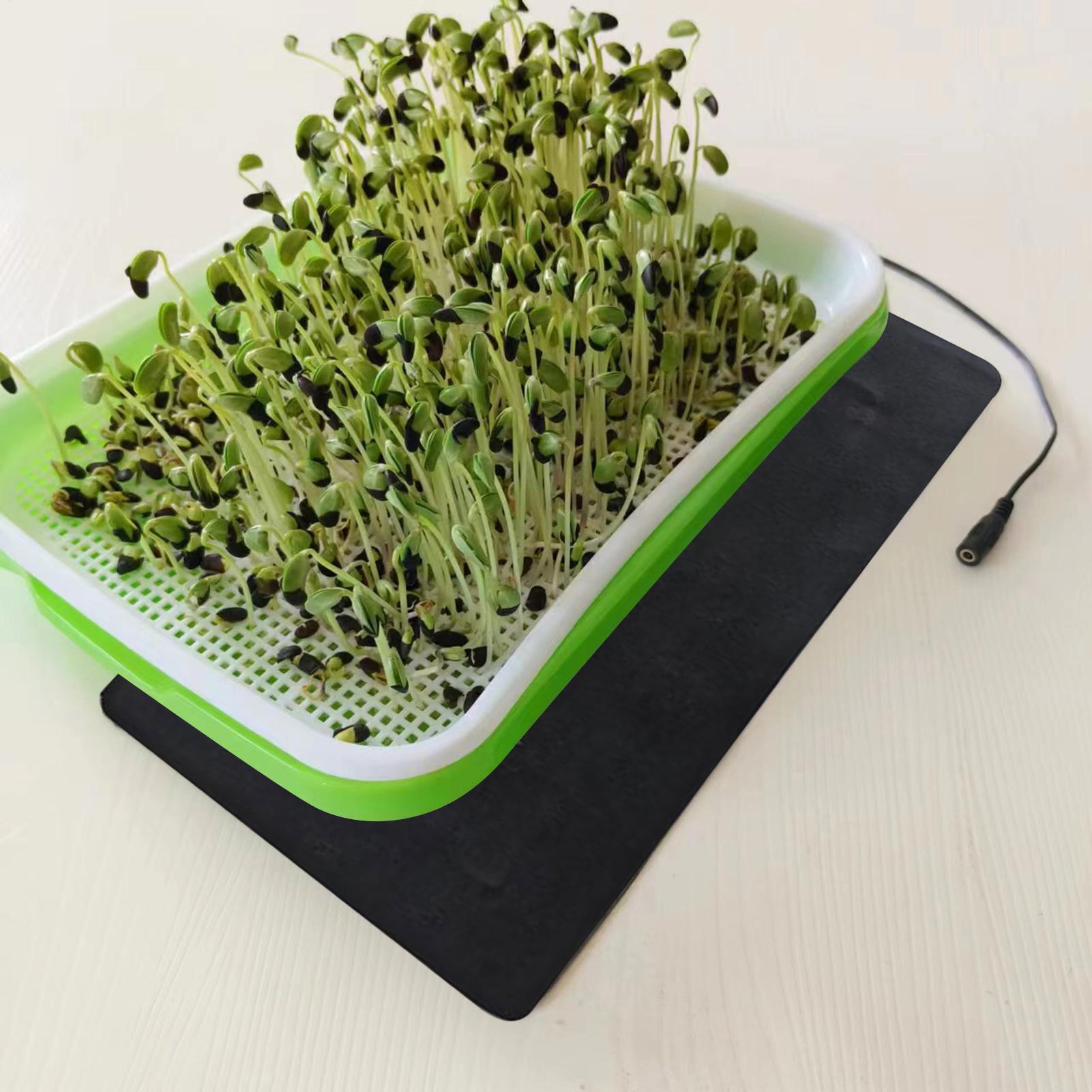 묘목 열 매트 5V 2A 8.5W 식물 종자 발아 번식 - Seedling Heat Pad 리뷰 및 가격